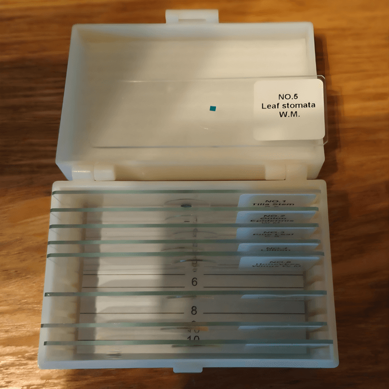Multiple microscope screen views showing different specimens