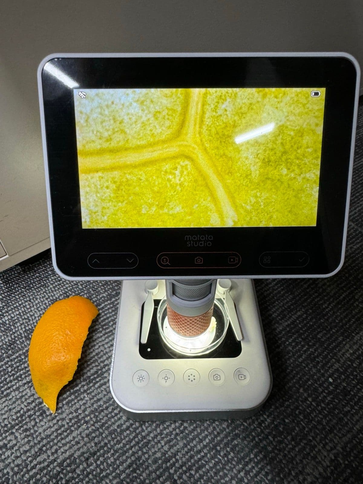 MX2-AS digital microscope scanning the surface of an orange peel