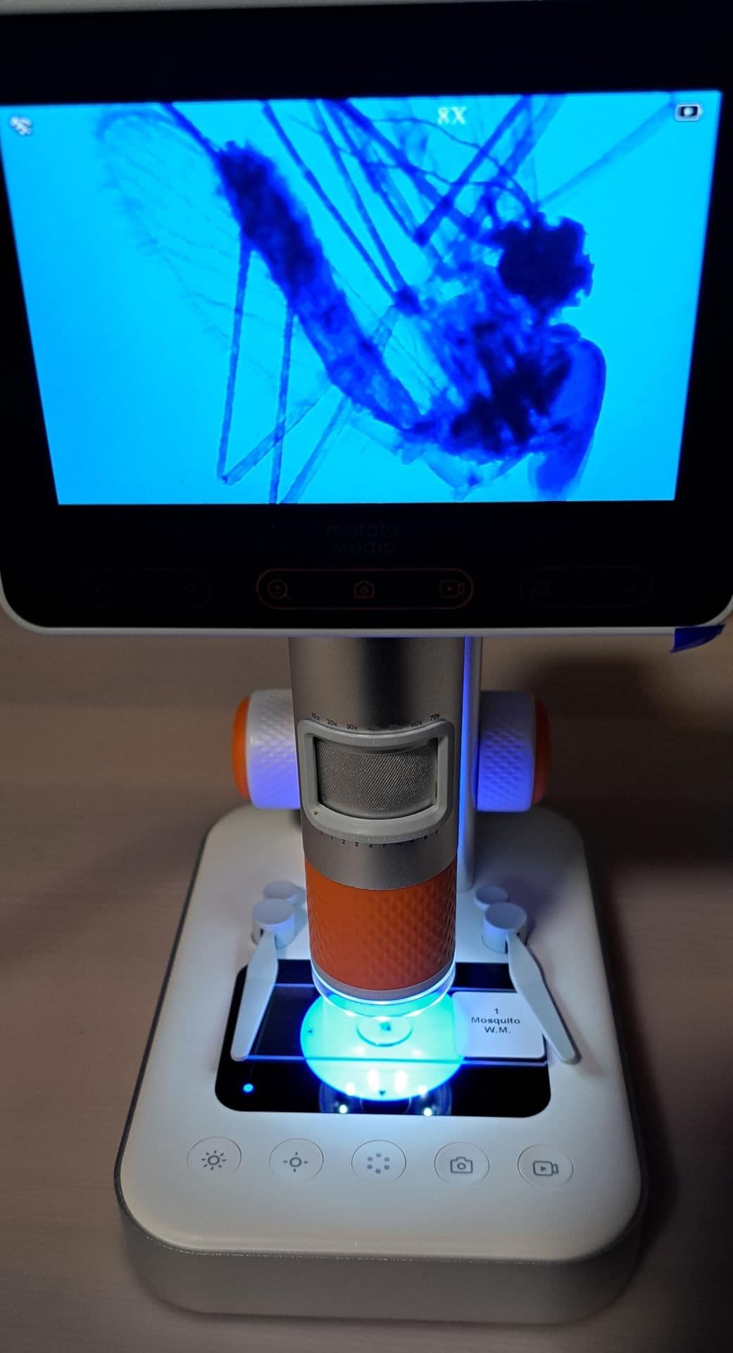 MX2-AS microscope screening a specimen on the observation stand