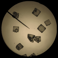 Crystal Science
