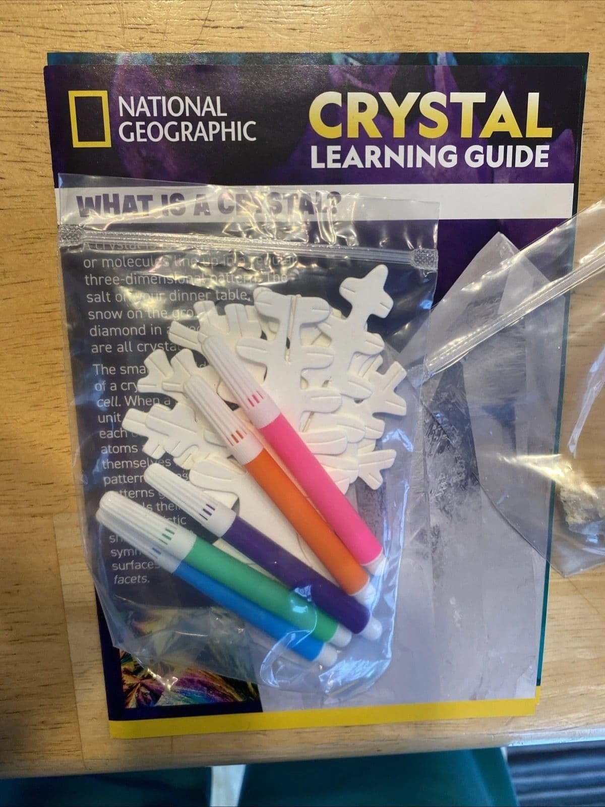Crystal Garden kit pieces laid out showing the trees, markers, and solution