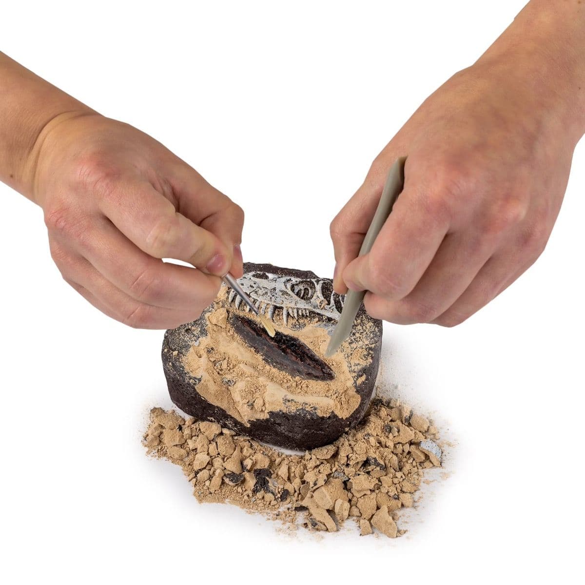 Close-up of hands carefully scraping and brushing a fossil specimen from a dig brick